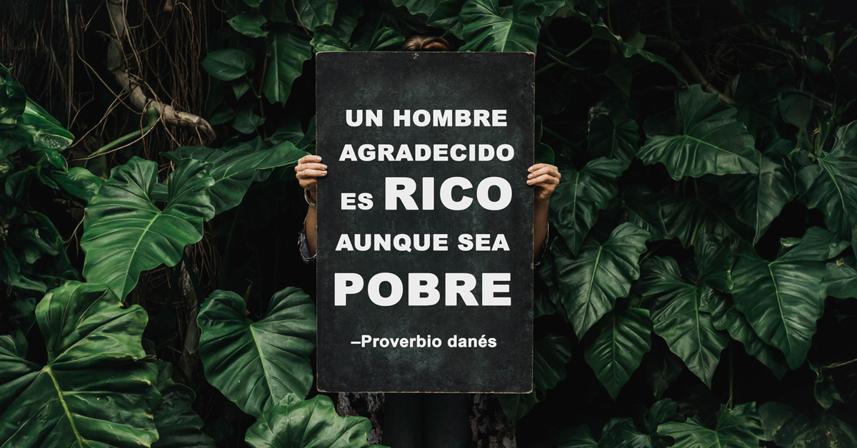 frases de gratitud a la vida frases cortas frases de gratitud a la vida frases cortas