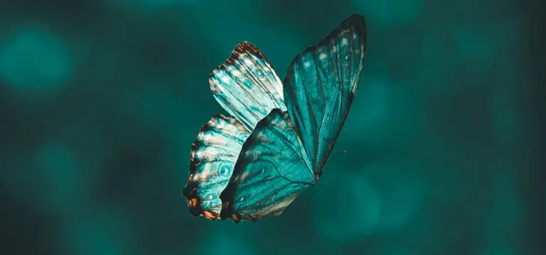 transformación personal